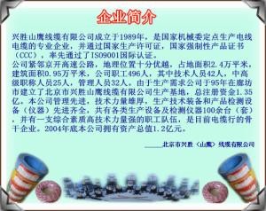 公司形象照